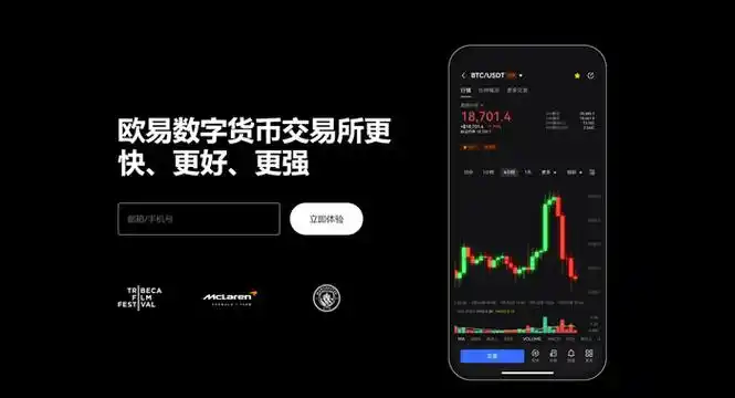oe客户端安装包系统展示图